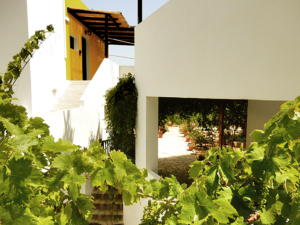 Mammis Apartments, Nisyros