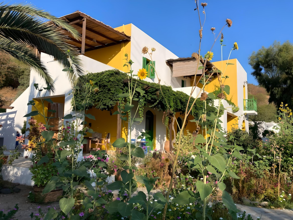 Sunflowers in the Garden of Mammis Apartments
